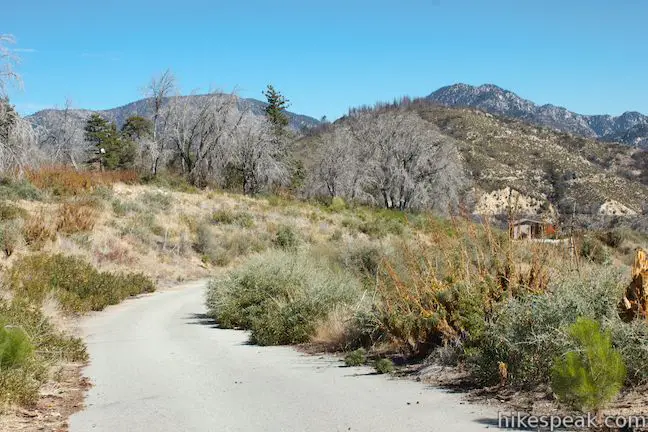 Vetter Mountain Road