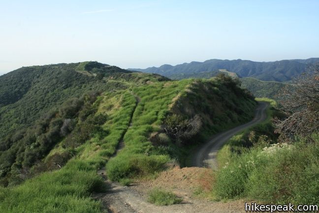 Westridge Hike Vicente