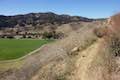 Las Virgenes View Trail