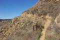 Las Virgenes View Trail