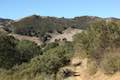 Las Virgenes View Trail