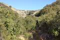 Las Virgenes View Trail