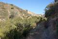 Las Virgenes View Trail