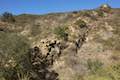 Las Virgenes View Trail