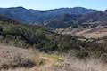 Las Virgenes View Trail