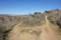 Las Virgenes View Trail