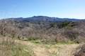 Las Virgenes View Trail