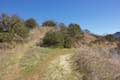 Las Virgenes View Trail