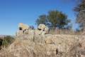 Las Virgenes View Ruins