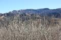 Las Virgenes View Trail