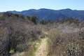 Las Virgenes View Trail