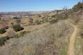 Las Virgenes View Trail