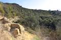 Las Virgenes View Trail