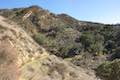 Las Virgenes View Trail