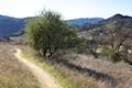 Las Virgenes View Trail