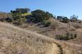 Las Virgenes View Trail