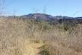 Las Virgenes View Trail Saddle Peak