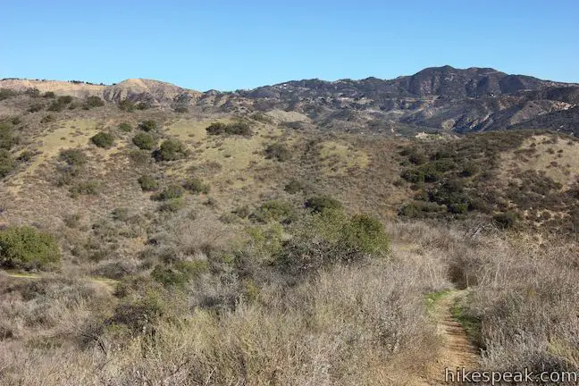 Calabasas Peak Las Virgenes View Trail