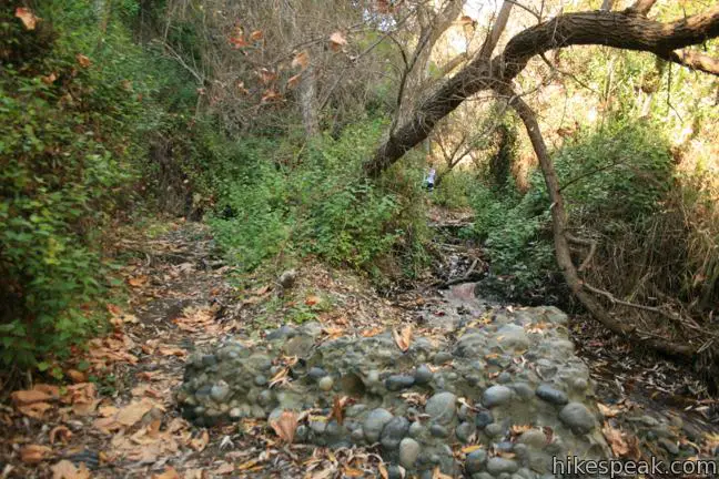 Rustic Canyon hike Will Rogers