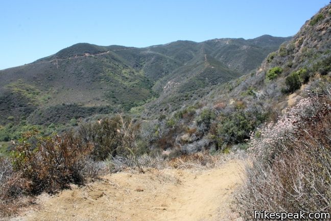 Canyon View Trail