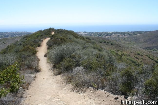 Canyon View Trail