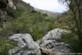 Zuma Canyon Narrows Malibu hike
