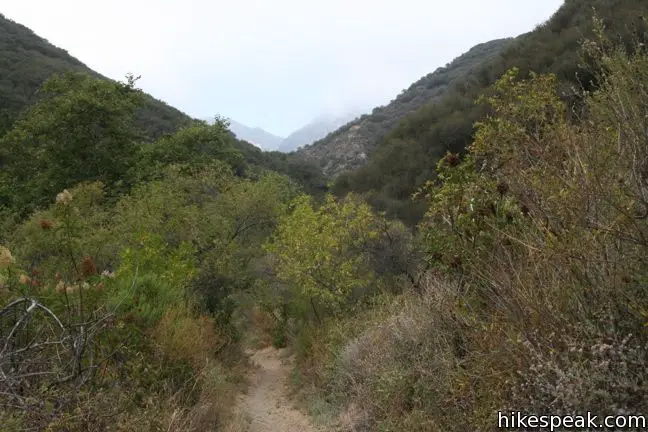 Zuma Canyon Hike Malibu