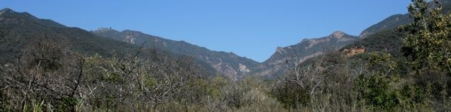 Zuma Canyon Trail Malibu Hike Santa Monica Mountains