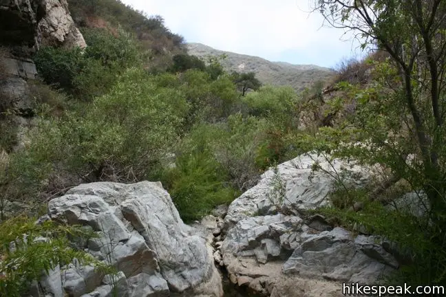 Zuma Canyon Hike Malibu